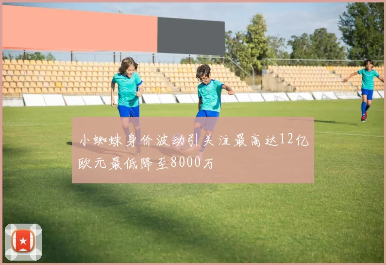小蜘蛛身价波动引关注最高达12亿欧元最低降至8000万